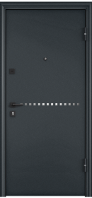 Входная дверь DELTA PRO MP