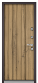 Входная дверь CITY LITE PP